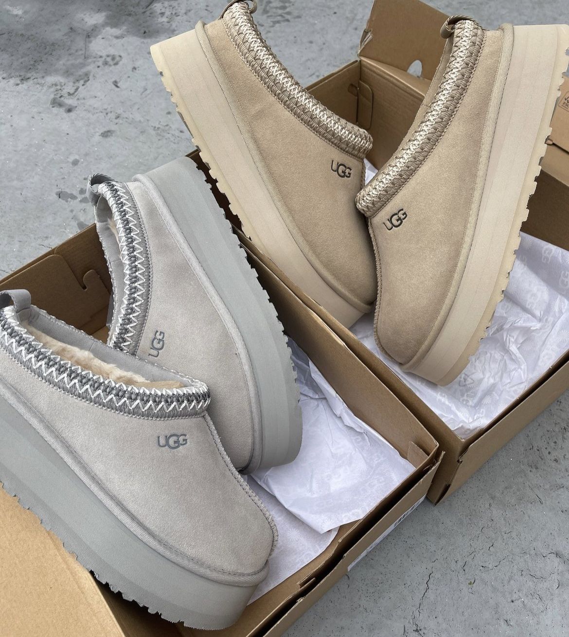 UGG Tazz Slipper Goose